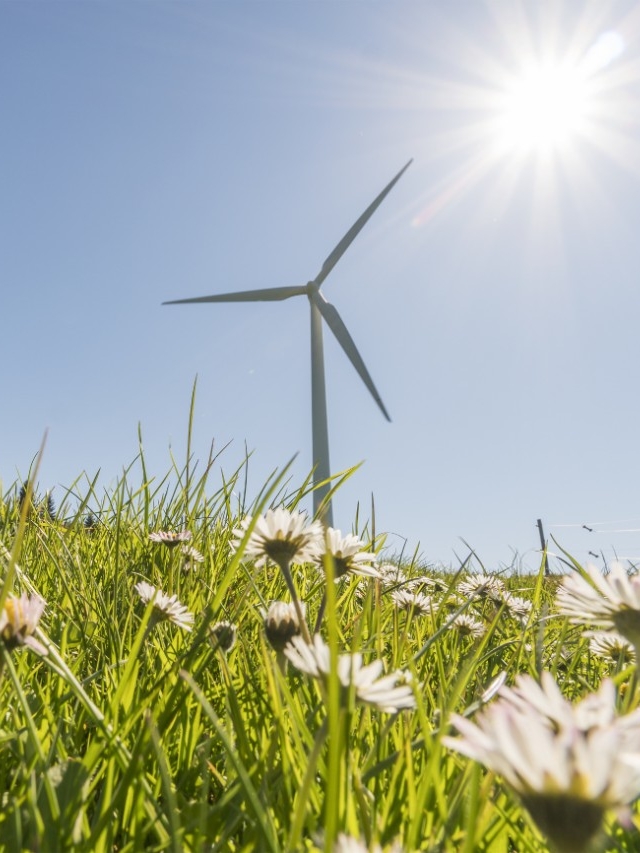 Sonnen- und Windkraft, zwei wichtige Erneuerbare Energiequellen